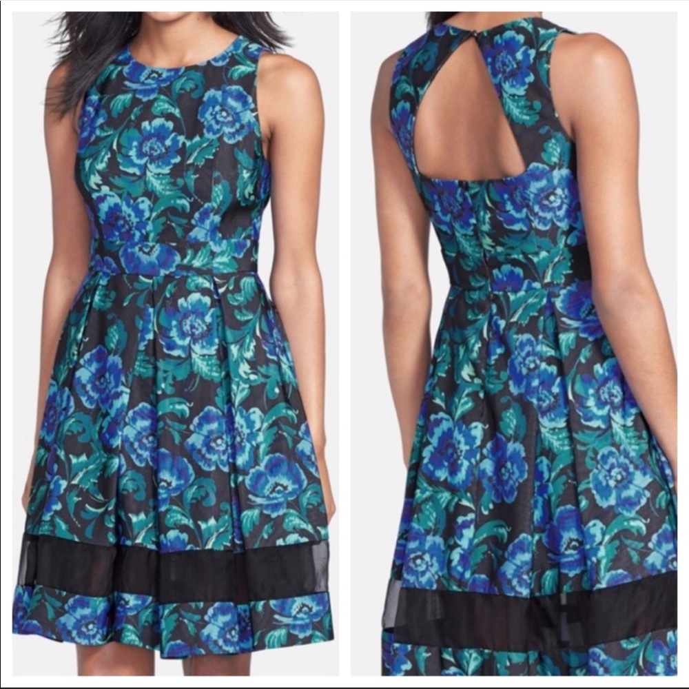 Eliza J  black & blue floral dress
